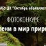 Фотоконкурс "Ступени в мир природы" пройдет в Искитиме - Konkyrent.Ru