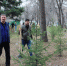 В общегородском субботнике в Искитиме приняли участие представители НСО. - Администрация г. Искитим