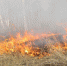 С завтрашнего дня в Искитиме будет введен запрет на разведение костров - Konkyrent.Ru