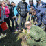 Новые аллеи появились в Степном, Усть-Чемском сельсоветах. 11 мая «вырос» молодой ельник в Тальменке. - Администрация Искитимского района