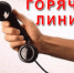 20 ноября в отделе опеки и попечительства администрации Искитима состоится «горячая линия». - Администрация г. Искитим