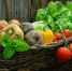 В Новосибирске выросли цены на продукты - Konkyrent.Ru