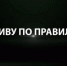 Искитимцам: Короткометражный фильм «Я живу по правилам» - Администрация г. Искитим