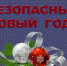 Искитимцам: Правила безопасности во время Новогодних праздников - Администрация г. Искитим