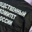Следственные органы организовали доследственную проверку по факту халатности органов опеки г. Искитима - Konkyrent.Ru