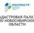 Новосибирцы стали чаще пользоваться услугами удостоверяющего центра Кадастровой палаты - Администрация г. Искитим