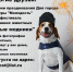 Фестиваль хвостатых модников пройдет в Искитиме - Iskitim-Gazeta.Ru