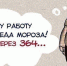 Самые ленивые жители в России — в Новосибирской области? - Iskitim-Gazeta.Ru
