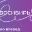 В Новосибирской области начала работу интернет-платформа «Новосибирь 85», посвящённая юбилею региона - Konkyrent.Ru