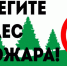 15 марта стартовала федеральная информационная противопожарная кампания «Останови огонь!» - Город Искитим
