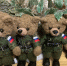 Посылку солдату в зону СВО можно отправить бесплатно каждому жителю Новосибирской области - Iskitim-Gazeta.Ru