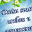 Поздравление Главы Искитима и Председателя Совета депутатов с Днем семьи, любви и верности - Город Искитим