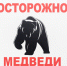 МКУ ИР «Центр защиты населения и ЕДДС» предупреждает. Будьте осторожны при посещении леса – возможна встреча с медведем - Konkyrent.Ru