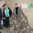 Глава Искитима и Председатель Совета депутатов города побывали на  производстве волонтерского движения «Журавлик» - Город Искитим
