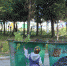 Дни массовой уборки города названы в Искитиме - Iskitim-Gazeta.Ru