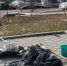 Учреждения Искитима начали проводить  субботники на своих территориях - Город Искитим