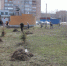 24, 25, 26, 27 апреля, 3 мая объявлены в Искитиме днями массовой санитарной уборки - Город Искитим