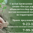 В Искитиме объявляется сбор предложений по местам возможной посадки деревьев на территории города - Город Искитим
