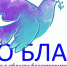 Премия Общественной палаты Новосибирской области «Во Благо» за вклад в области благотворительности и добровольчества! - Город Искитим