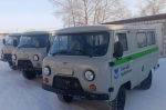 Фото пресс-службы администрации Искитимского района