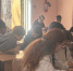 Результаты городского турнира по Моделированию экономики и менеджмента - Управление образования и молодёжной политики