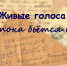 Живые голоса войны: пока бьётся сердце… - Город Искитим
