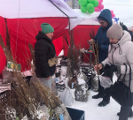 "Искитимская весна" прошла даже несмотря на непогоду