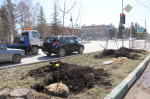 Яблони, похожие на сакуры, высадят во время Всероссийского субботника в городе Искитиме