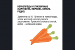 Овощи, фрукты, ягоды и зелень нужно обязательно мыть перед едой. Зачем?