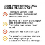 Овощи, фрукты, ягоды и зелень нужно обязательно мыть перед едой. Зачем?