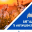 В 2025 году состоится IV Всероссийский конкурс этнокультурных выставочных проектов под названием «Виртуальный тур по многонациональной России» - Город Искитим