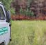 Фото nso.ru - Iskitim-Gazeta.Ru
