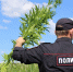 Фото МО МВД РФ "Искитимский" - Iskitim-Gazeta.Ru