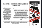 Памятка по предупреждению бешенства