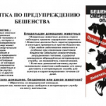 Памятка по предупреждению бешенства