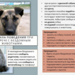 Памятка по предупреждению бешенства
