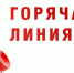 «Горячая линия» по вопросам качества и безопасности детских товаров и школьных принадлежностей - Город Искитим