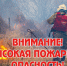С 09 по 12 сентября 2025 года в Новосибирской области и г. Новосибирск местами ожидается высокая пожароопасность 4 класса - Город Искитим