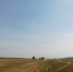 Фотография Анны Зубаревой - Iskitim-Gazeta.Ru