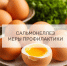 Роспотребнадзор про меры профилактики сальмонеллеза - Город Искитим