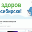 Госпаблики Новосибирской области: надёжный канал связи медицины и жителей - Iskitim-Gazeta.Ru