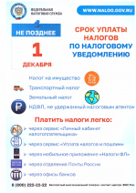 Не позднее 1 декабря — срок уплаты имущественных налогов