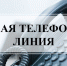Прямая линия: началась декада инвалидов - Город Искитим