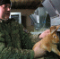 Фото mtsr.nso.ru - Iskitim-Gazeta.Ru