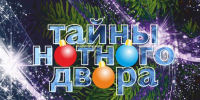 Новосибирская государственная филармония приглашает жителей Искитима на новогодний мюзикл! - Город Искитим