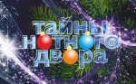 Новосибирская государственная филармония приглашает жителей Искитима на новогодний мюзикл!