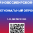 Приглашаем принять участие в региональном опросе, посвящённом патриотическому самосознанию - Город Искитим