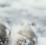 Фото ru.freepik.com - Iskitim-Gazeta.Ru
