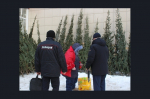 Купить новогоднюю красавицу можно в трех местах в городе Искитиме