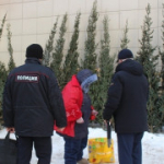 Купить новогоднюю красавицу можно в трех местах в городе Искитиме